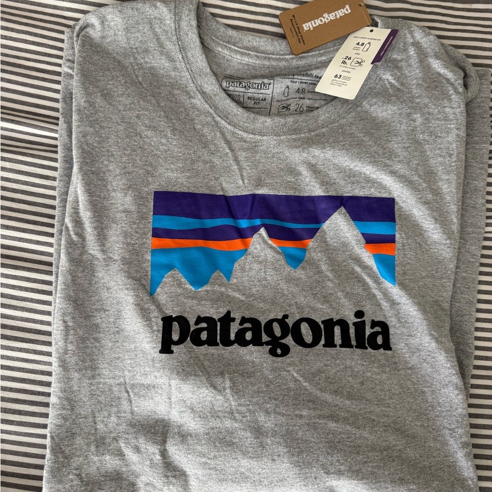 Patagonia Men's Fitz Roy Horizons Logo Graphic Tee Gray Blue Purple